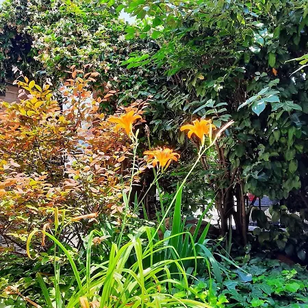 Casa Cecilia Novellara