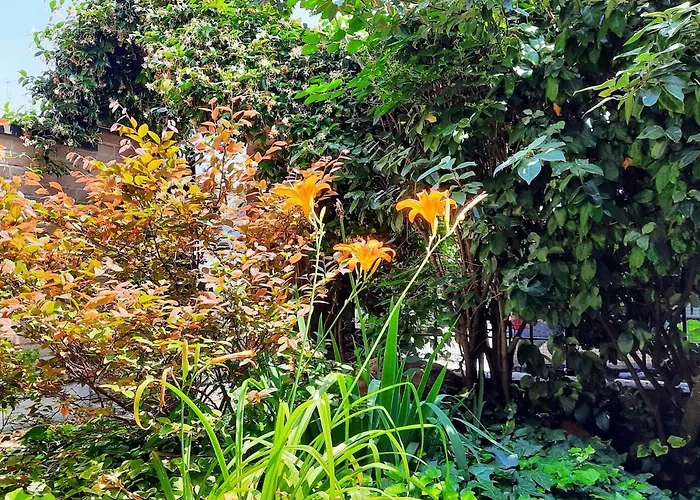 Casa Cecilia Novellara